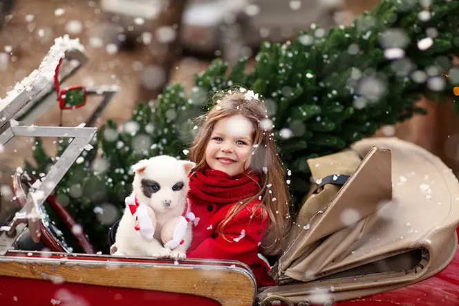Convertible Car Christmas Tree Puppy Girl