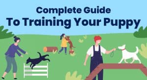 1.Complete Guide To Training Your Puppy