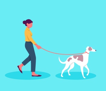 2.Leash Training How To Walk Effectively
