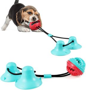 FANZ Pet Molar Bite Toy