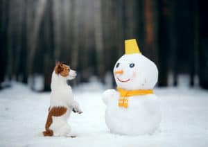 dog small snowman