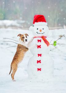 dog with snowman