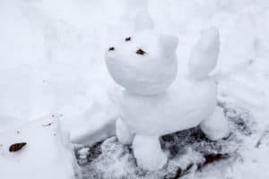 puppy snowman