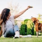 Golden Rewards Dog Treats Review
