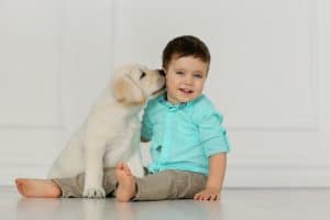 dog licking baby