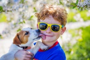 Dog kid sunglasses