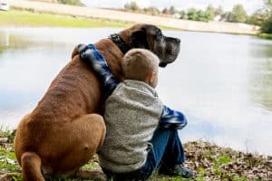 boy with big dog