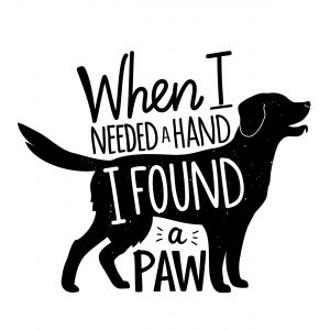 hand paw