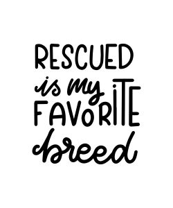 rescued dog breed