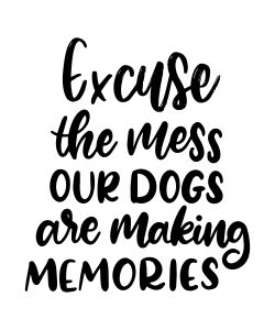 dog mess memories