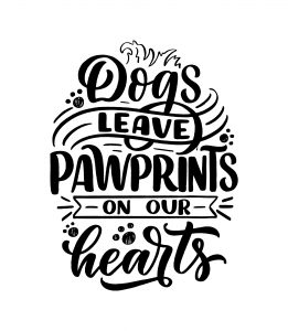 dog pawprints on heart