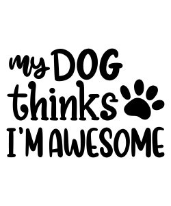 dog thinks I'm awesome