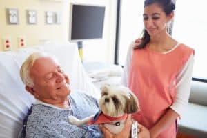 therapy dog man hospital