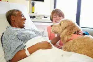 therapy dog woman hospital