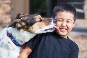 smiling boy dog kiss