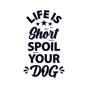 spoil dog