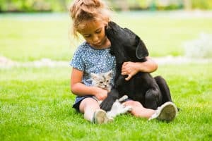 dog kissing girl