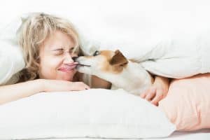 dog licking woman