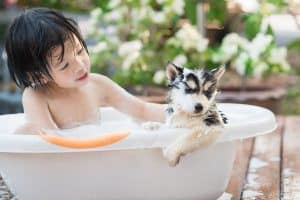 puppy bathing with girl