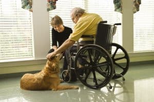 dog visit wheelchair