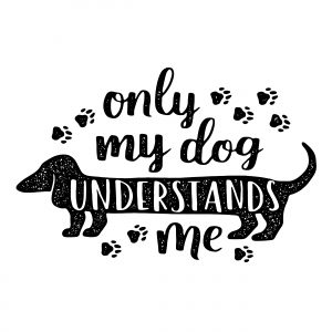 dog understand