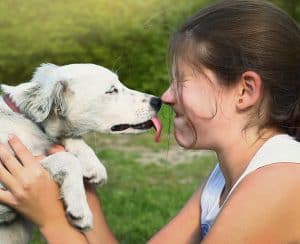 dog nose kiss