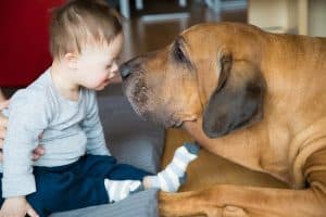 baby with dog