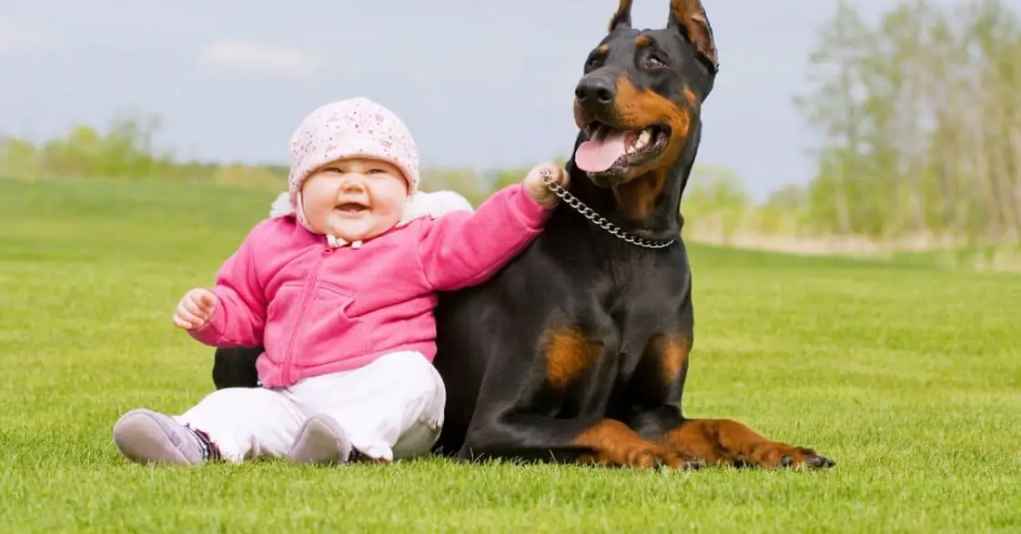 Are Dobermans Good With Kids? Dog Blog