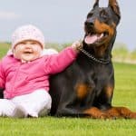 Are Dobermans Good with Kids