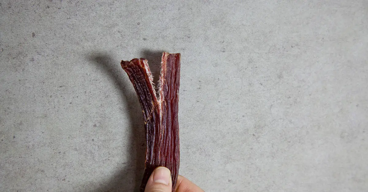 Can Dogs Eat Beef Jerky?
