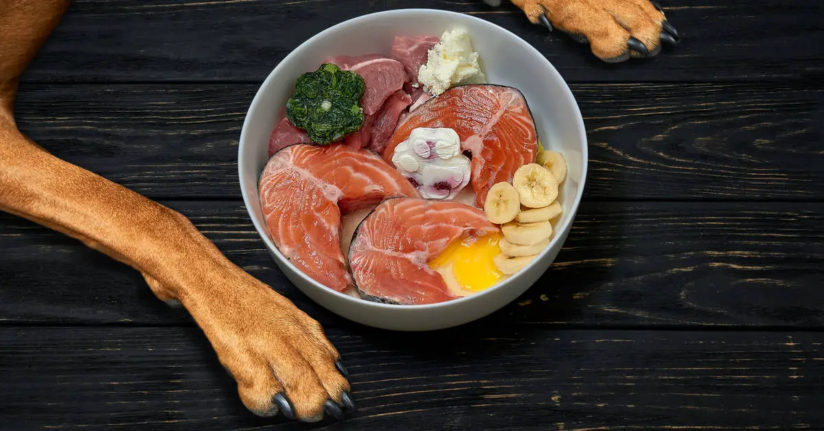 Can Dogs Eat Cooked Salmon?