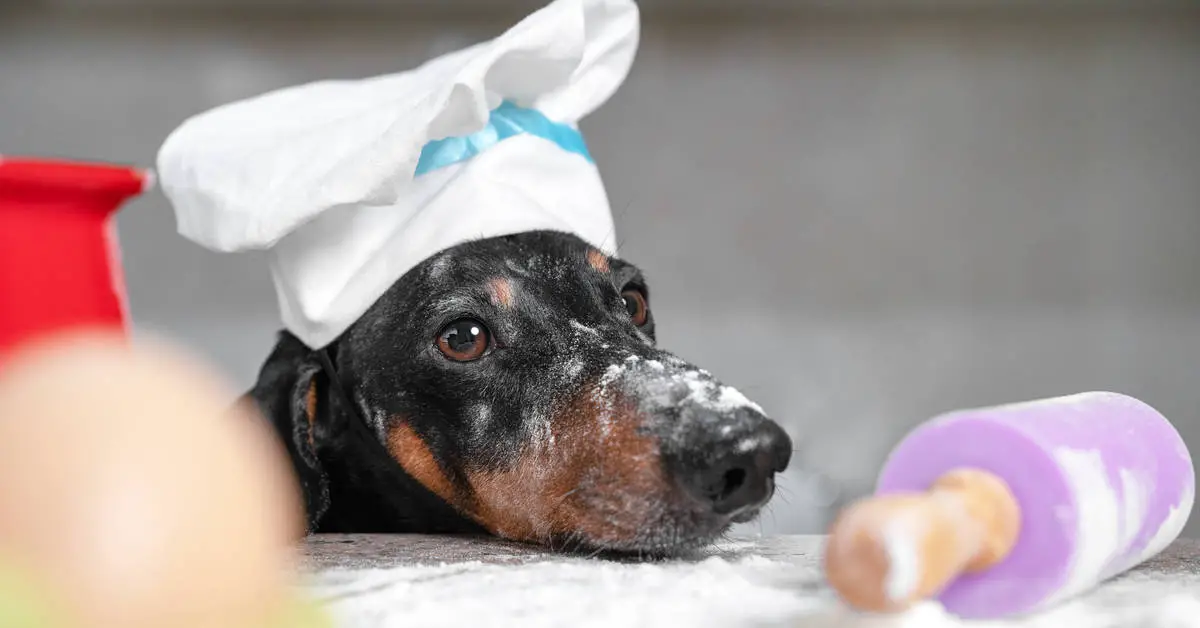Can Dogs Eat Flour?