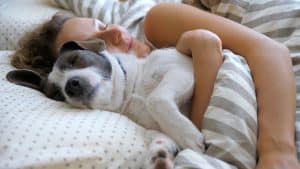 dog hug snuggling