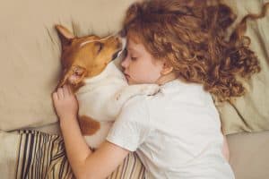 beagle and girl