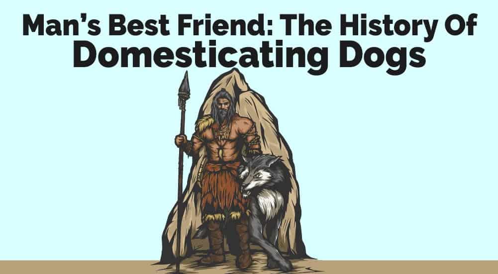 Man’s Best Friend The History Of Domesticating Dogs