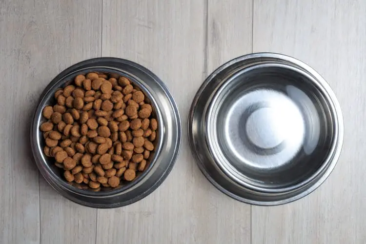 The Kinetic Dog Food Product Line