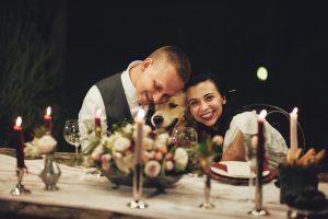 bride and groom with dog