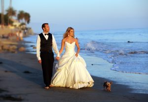 wedding couple walking dog
