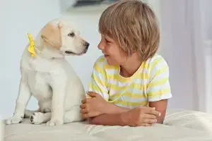 boy with pet