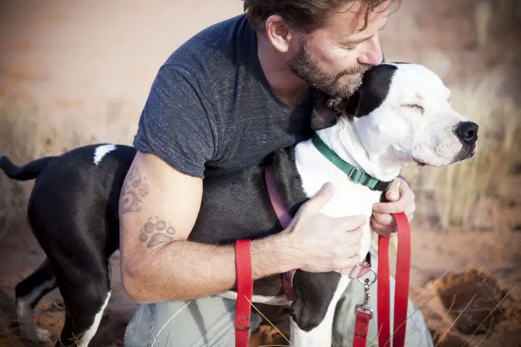 These 25 Dog Dads Show That Their Love Is Furever Dog Blog