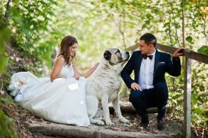 couple and black and white dog