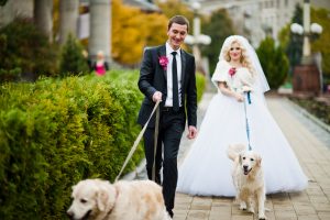 wedding couple and dogs
