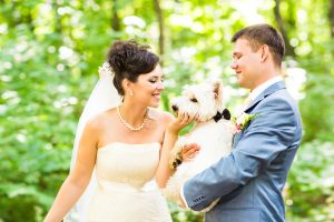 bridge and groom kissing dog