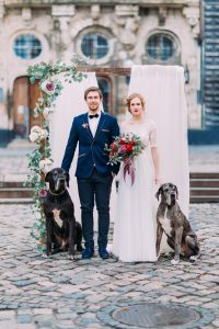 young double wedding dogs
