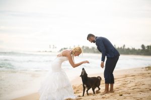 bridge and groom dog beach