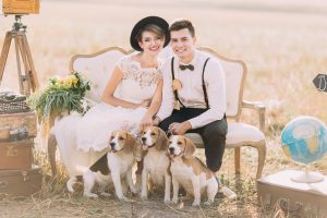 newlyweds and dogs