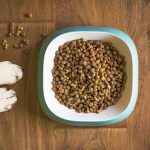 LOW RESIDUE DOG FOODS