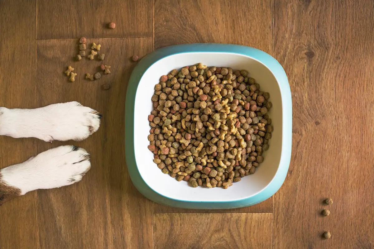 LOW RESIDUE DOG FOODS