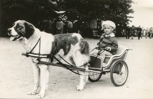 vintage photo girl and dog