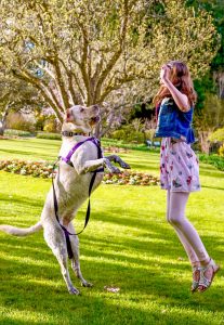 happy girl and dog